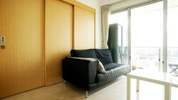 Eight Riversuites (D12), Condominium #587031511